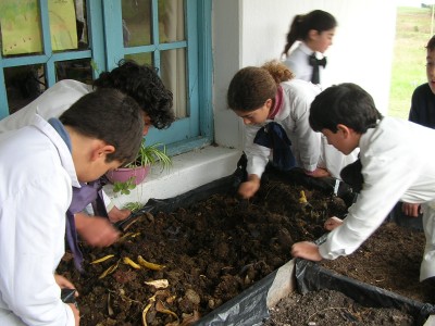 escuela verde o ecoescuela escuela verde o ecoescuela con lombricultura