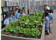 escuela verde o ecoescuela escuela verde o ecoescuela