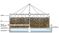 biofiltro