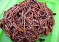 ganaderia