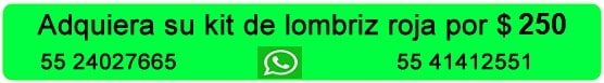 venta de lombriz en df